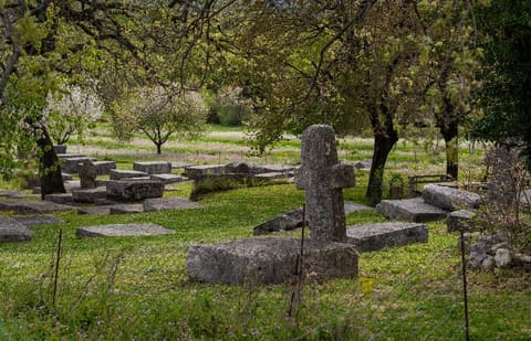 A stećak in the blossoming spring landscape