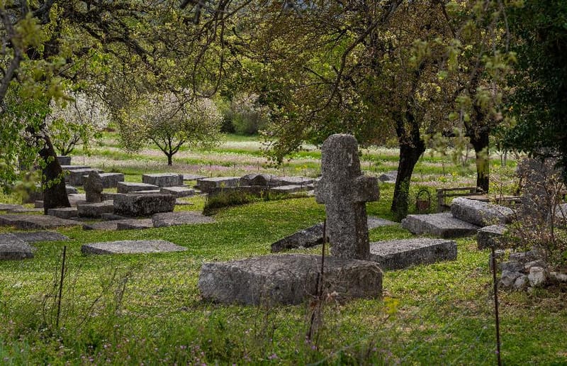 The Boljuni necropolis of stećci — chests and slabs among blossoming trees
