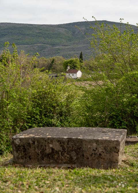 A stećak in the foreground, the village chapel on the slope behind