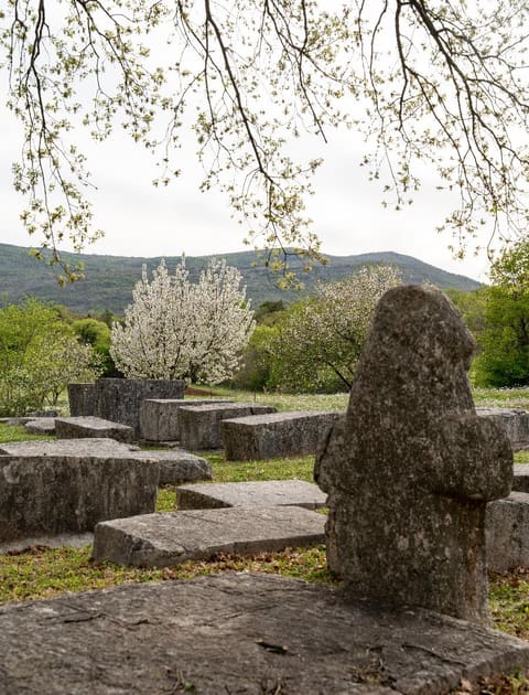 A cross-shaped stećak among the slabs of the necropolis