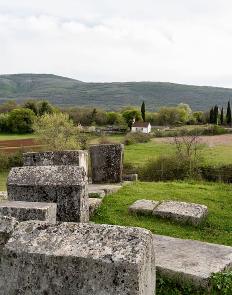 Stećci in the field near Boljuni